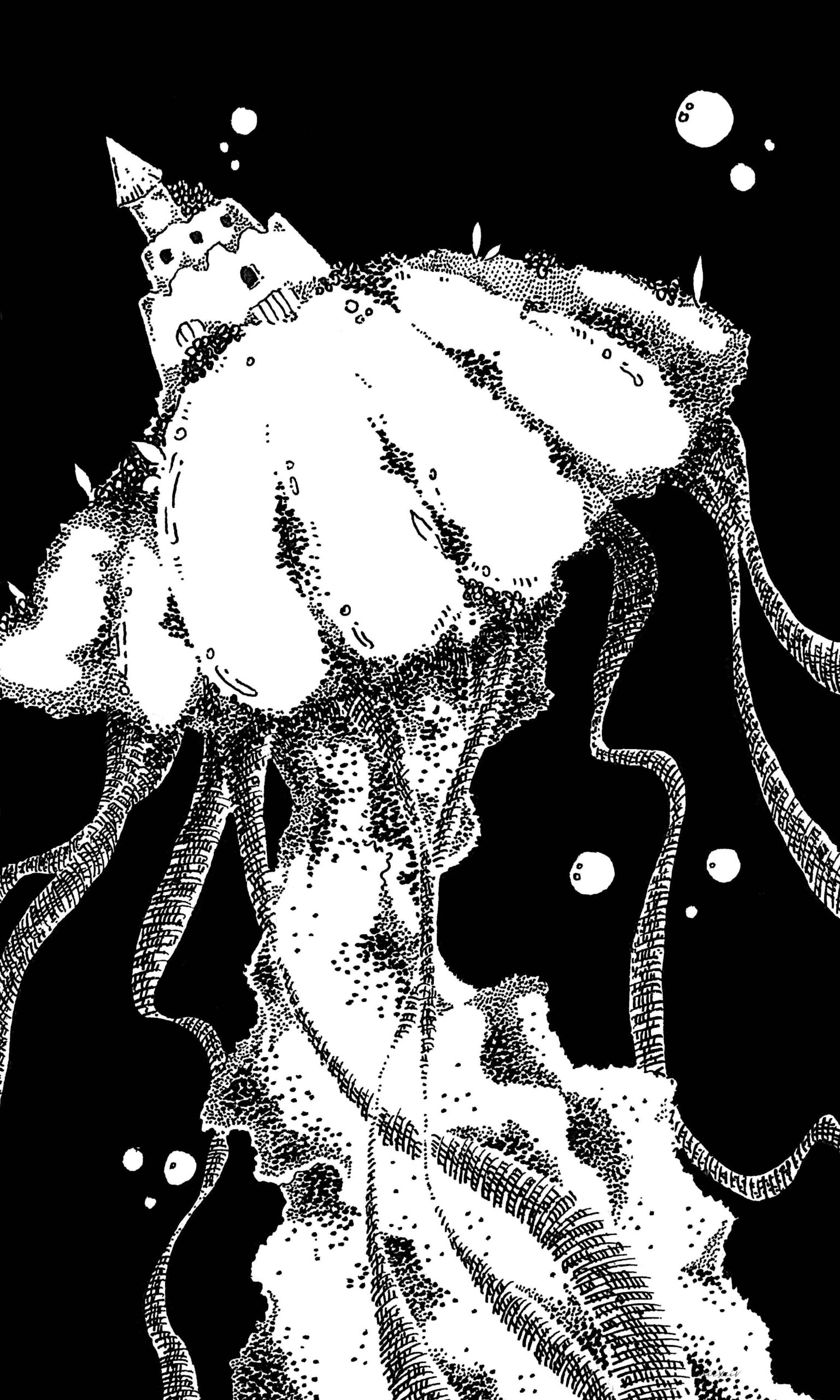 Jellyfish