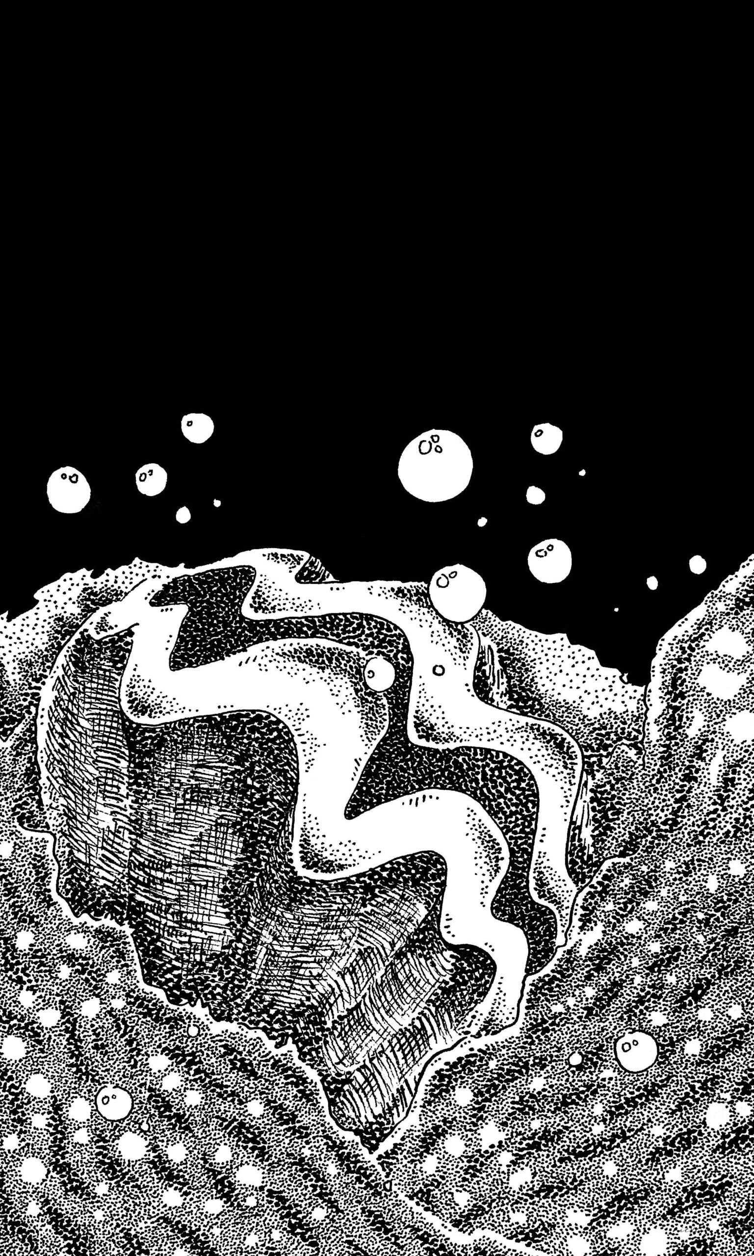 Giant Clam