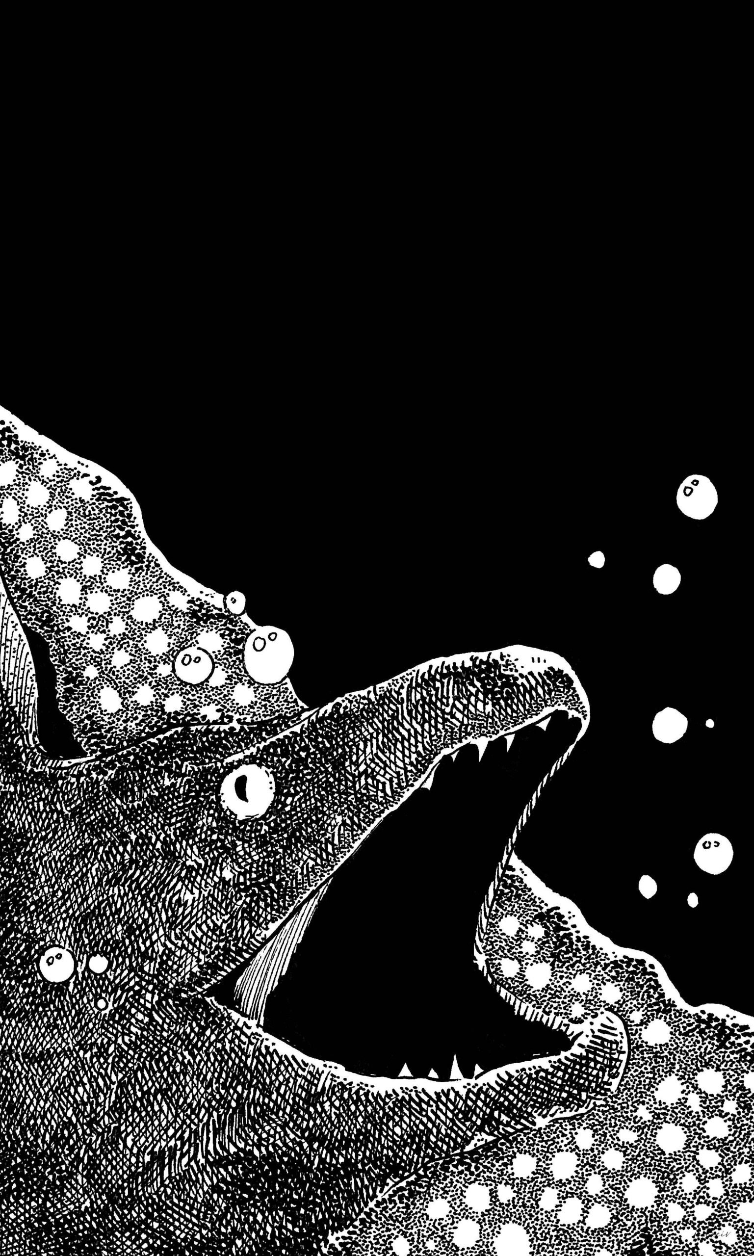 Moray Eel
