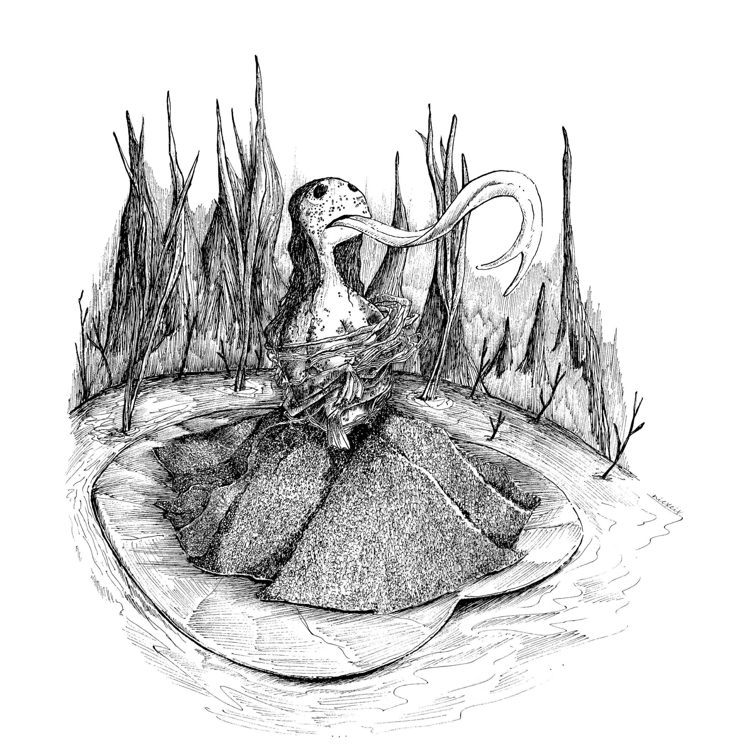 Frog Princess