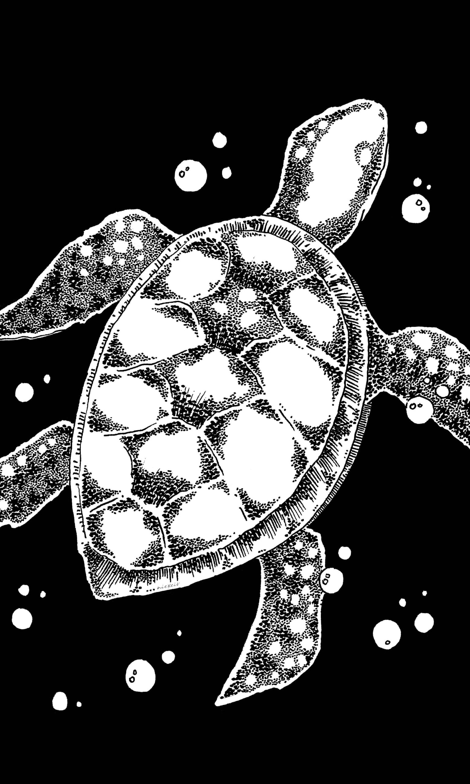 Sea Turtle