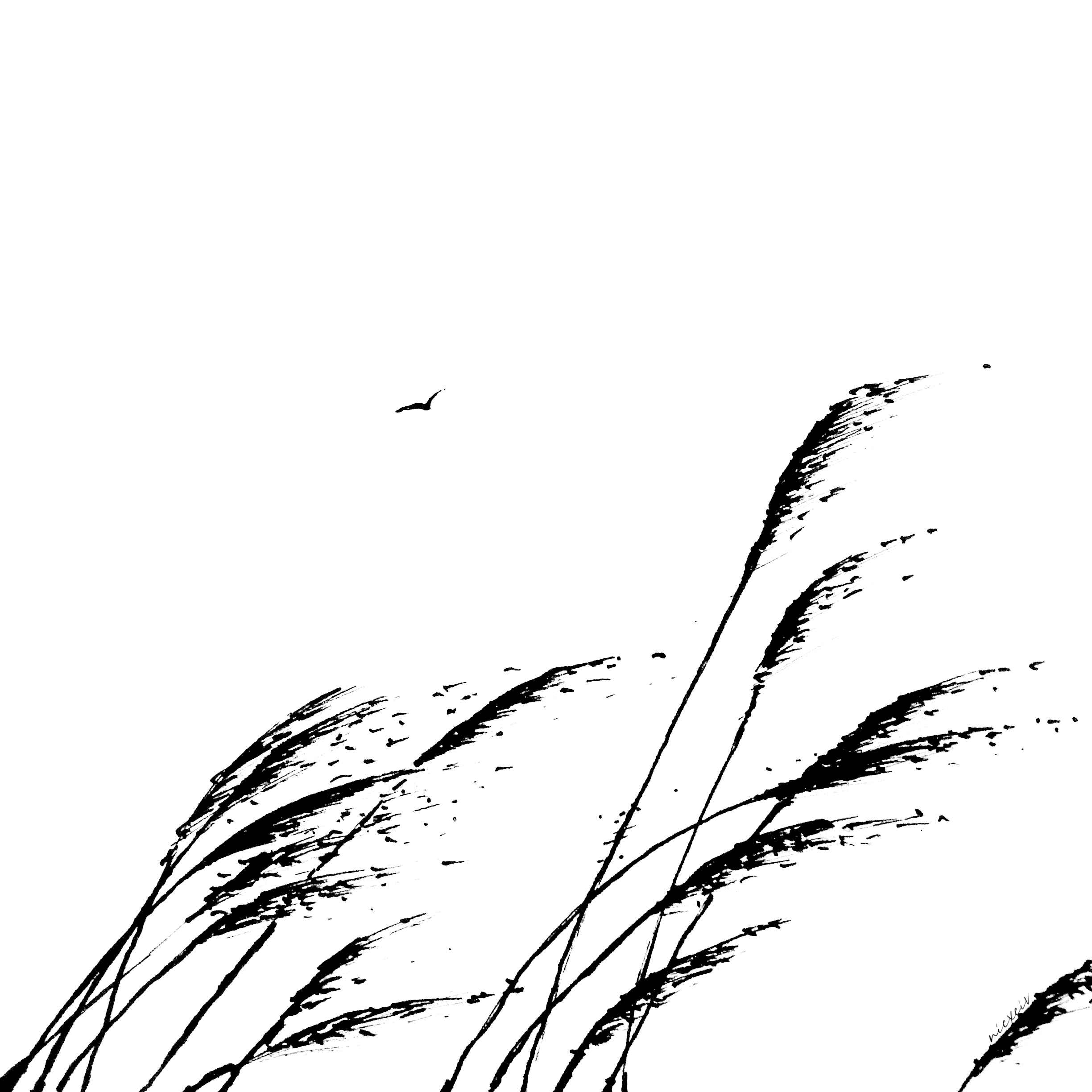 The Wind Blows