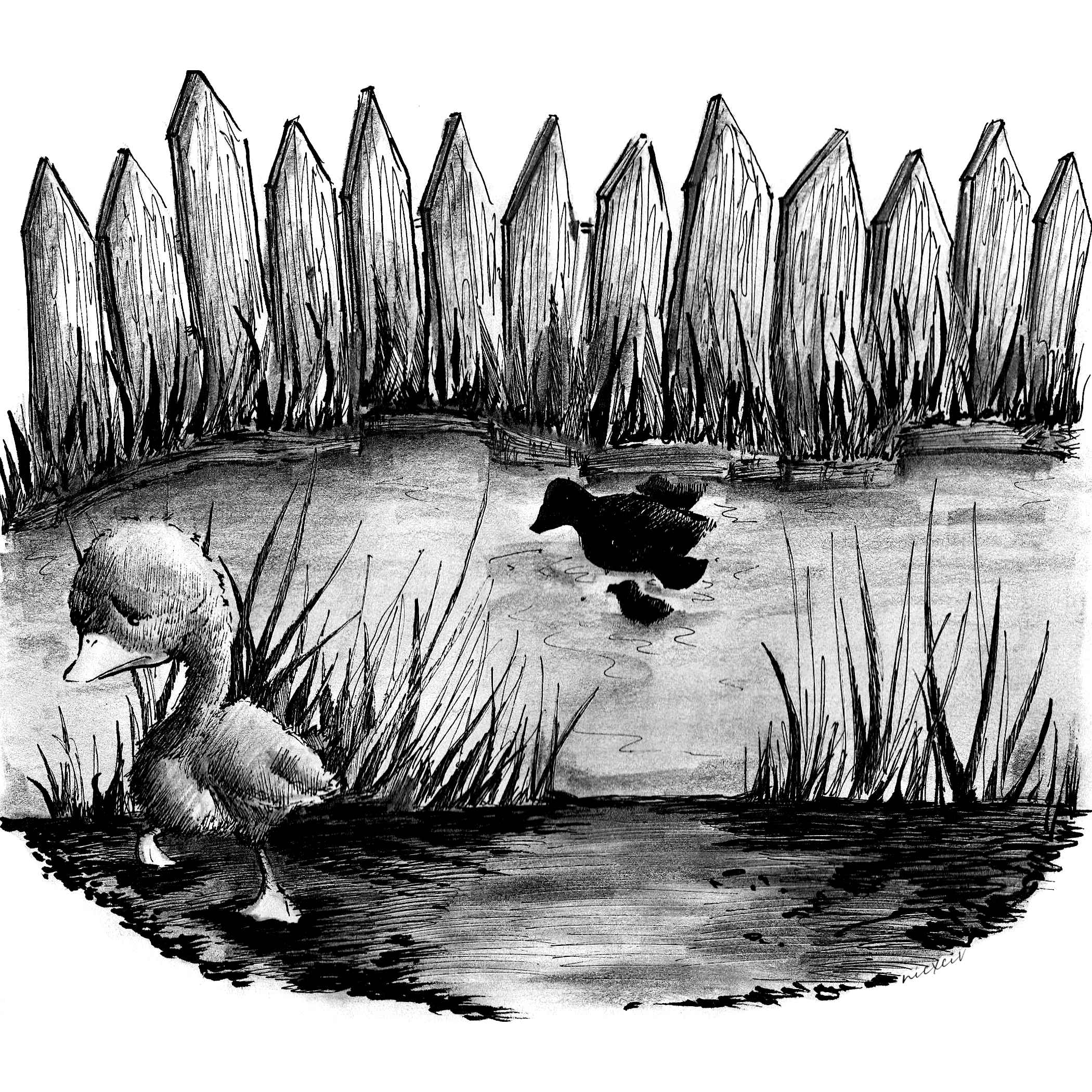 Ugly Duckling